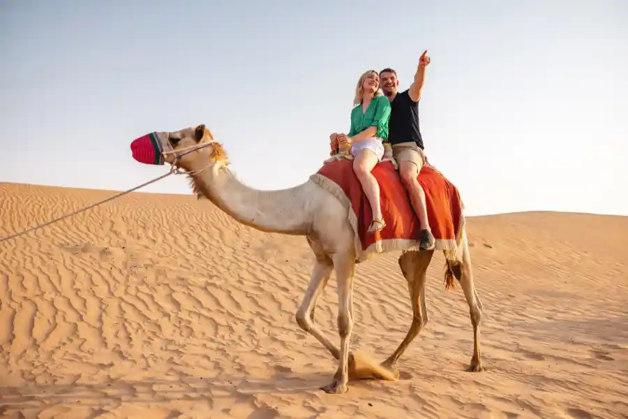 Dune Buggy & Camel Tour